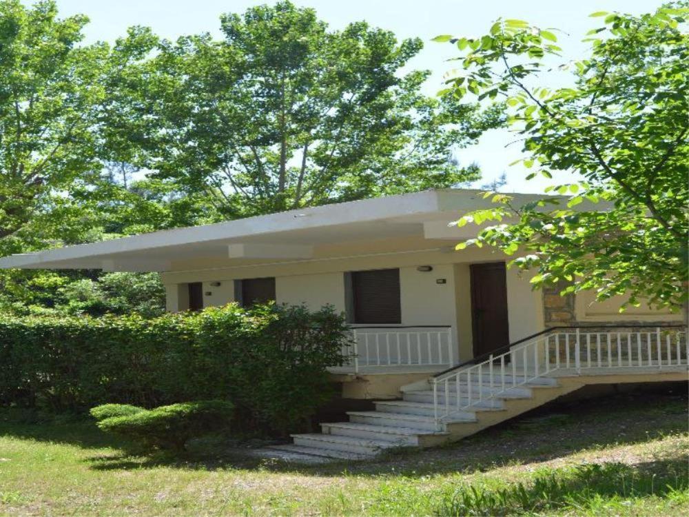 Olympios Zeus Plaka Litochorou Exterior foto